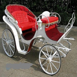 Carrozza Vittoriana Reale per Matrimoni ed Eventi Speciali - Carrozza Pieghevole a Tettuccio, Trainata da Cavalli ed Elettrica - Product Image 3