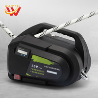 Ascenseur électrique à corde pour bâtiment alimenté par batterie au lithium 36V 300 kg, outil de levage, ascenseur intelligent