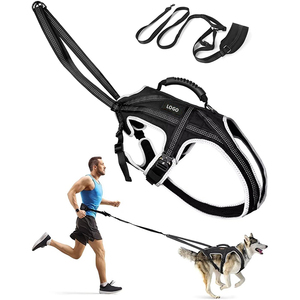Conjunto de Arnés <span class=keywords><strong>Canicross</strong></span> para Perro con Cinturón y Correa Amortiguadora, Arnés Ajustable para Correr, Senderismo y Ciclismo para <span class=keywords><strong>Perros</strong></span> Grandes - Product Image 1