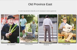 High Quality Rehabilitation Training Equipment Hemiplegia Walking Aid Elderly or <b>Disabled</b> Walking Aids <b>Walkers</b> - Product Image 4