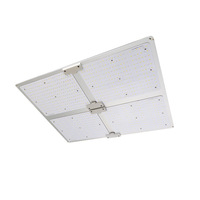 Lampu Tumbuh LED Spektrum Penuh 400W untuk Tanaman Indoor 301B, Pencahayaan Rumah Kaca Profesional Berbahan Aluminium, Rating IP65, Dapat Diredupkan