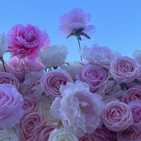 Décorations murales modernes en fleurs de soie 5D rouges pour mariages en extérieur, de haute qualité, écologiques et durables, marque Starmap