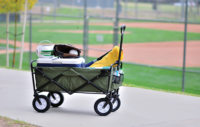 Chariot de transport pliable et portable vert pour camping, extérieur, véhicule, courses et maison, avec barre de traction de 5 pouces, chariot de camping pour stand