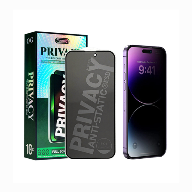 Anti Peeping Phone Film Screen Protector for iPhone 11 12 13 14 15 16 Pro Max Privacy Anti Static Mobile Tempered Glass