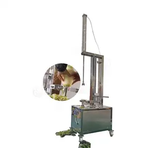 Hot Selling Taro Winter Melon Pumpkin Peeler Fruit Automatic Papaya Peeling Machine