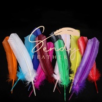 Accessoire de Carnaval Plumes de Dindon 25-30-35cm pour Costume de Danse du Carnaval du Brésil, Coiffe et Sac à Dos