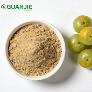 Bulk export kwaliteit <span class=keywords><strong>Amla</strong></span> poeder, natuurlijk Phyllanthus Emblica fruitpoeder, rechtstreeks van de fabrikant - Product Image 6