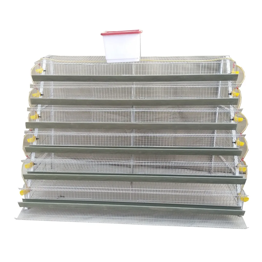 Poultry quail equipments layer quail cage with automatic feeder