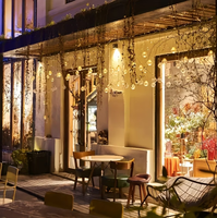 Guirnalda de Luces LED Decorativas con Globos Transparentes, Luces de Hadas para Interiores, Jardín, Patio, Decoración Colgante para Paredes