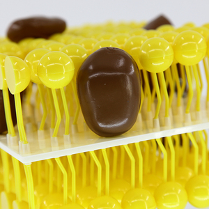 Qinghua dòng chảy mô hình khảm thành phần ban đầu cao cấp khoa học y tế giảng dạy Thiết bị trình diễn khoa học - Product Image 4