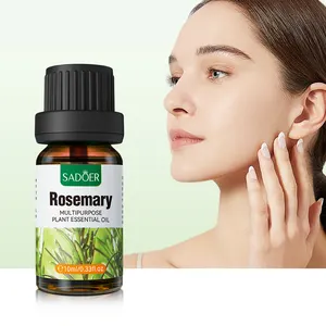 OEM ODM Minyak Esensi Parfum Pelembap Pelembap Rosemary untuk Kecantikan