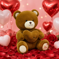 Oso de Peluche Chubby Love con Cojín de Corazón y Bordado en las Patas para Regalo de Pareja