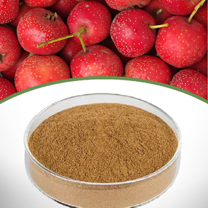 有機野生サンザシ果実エキス 5%フラボノイド 高濃度 ヴィーガン ハーブ＆グルテンフリー パウダー ドラム包装 カスタマイズ可能 - Product Image 4