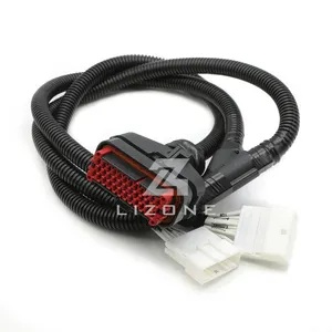 Waterproof Wire Harness Connector Supplier Make Durable Precise for ECU Computer display 776164-1