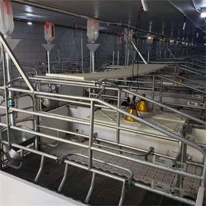 <span class=keywords><strong>Jaula</strong></span> de Parto Galvanizada en Caliente para Cerdos, Equipo para Granjas Porcinas, Jaulas de Maternidad para Cerdos - Product Image 2