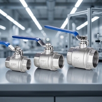 Vanne à boisseau sphérique manuelle en acier inoxydable 201 à noyau perforé pour conduites de vapeur, fabrication OEM, vente en gros