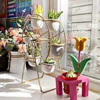 Support de plantes en métal pour salon, 6 Pots de plantes succulentes, étagère de présentation décorative moderne
