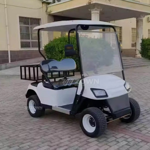 Voiture de golf électrique de haute qualité, blanche, 2 places, pour la chasse, buggy de golf, prix de gros disponibles, batterie au lithium, moteur 7KW - Product Image 6