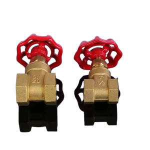 Brass Van cổng DN15 DN50 1/2in 2in điều chỉnh áp suất nước van van cống phụ kiện đường ống - Product Image 5