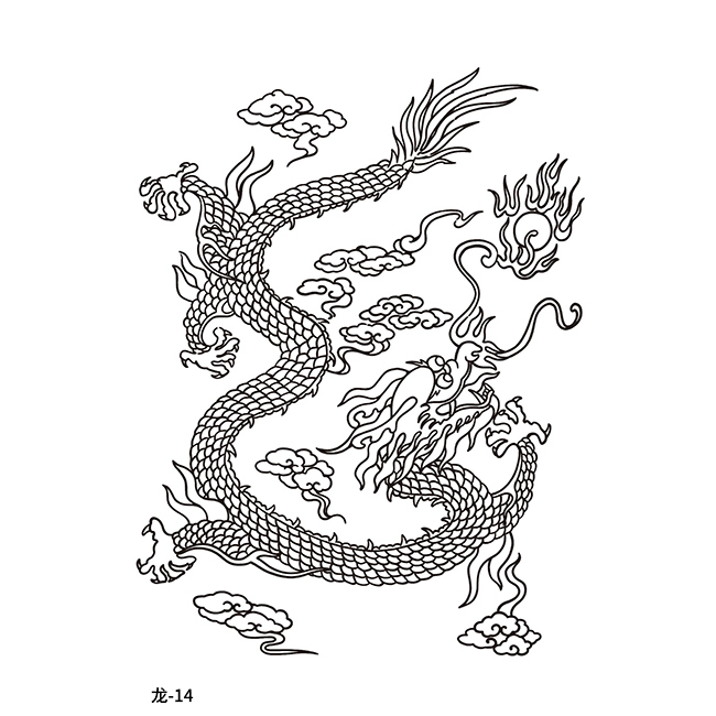 Dragon-14