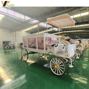 Carroza Fúnebre Eléctrica de Lujo con Diseño de Caballo Negro, Neumáticos de Caucho Sólido, en Venta - Product Image 3