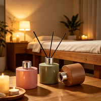 Bouteilles de diffuseur à roseaux rechargeables de luxe haut de gamme, 120 ml, logo personnalisé, directement de l'usine