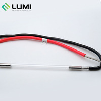 Pièces de rechange de Quanta de lampe laser au xénon pour la machine de beauté, lampe de la Chine, lampe Lumi Quanta d'épilation