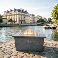 Brasero de jardin de style classique, foyer décoratif pour terrasse et jardin, chauffage pour fêtes, cheminée extérieure