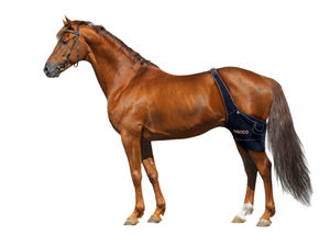 CE Equine LED Light Therapy Wrap Série Shenzhen Fábrica para Cavalo Stifle Cells Regeneração Muscle Recovery Pain Relief - Product Image 3