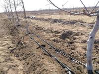 Vente en gros de tuyaux d'irrigation goutte à goutte de 16 mm, système d'irrigation goutte à goutte pour jardin, tuyau d'arrosage, tuyau agricole, de haute qualité, durable