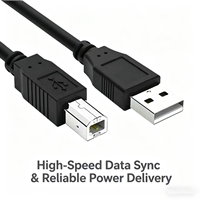 Fournisseur OEM établi de câbles de charge personnalisés avec intégration verticale pour le contrôle qualité