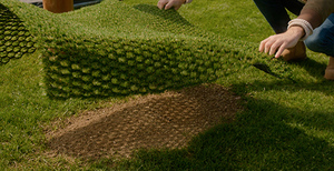 Gazon <span class=keywords><strong>hybride</strong></span> <span class=keywords><strong>hybride</strong></span> MCG gazon artificiel pour jardin aménagement paysager <span class=keywords><strong>pelouse</strong></span> agricole - Product Image 2