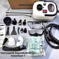 Nettoyeur vapeur haute pression électrique portatif de nouvelle conception pour hôtel, voiture, usage commercial et domestique