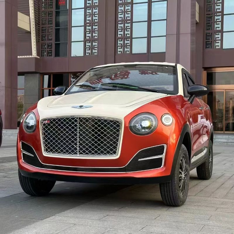 2025 Hot Selling New Energy Vehicle