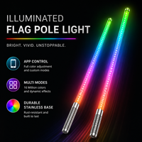 Lampe LED d'ambiance pour mât de drapeau, véhicule tout-terrain, moto, lampe de toit, antenne lumineuse, lanterne
