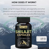 Ausreson Marque Privée Shilajit Himalayen en Capsules – Complément Alimentaire Chinois Pur, Naturel et Biologique pour Hommes