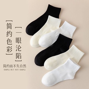 Saxlnaimln Ankle Socks Solid Color Breathable Polyester Women's Casual Daily Wear - Product Image 2