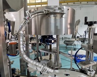 Ligne de production automatique de remplissage, de bouchage et d'étiquetage de bouteilles de sauce pour le ketchup, la confiture, la mayonnaise, la crème, la pâte, l'embouteillage et l'emballage