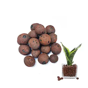 整体销售便宜的价格粘土球生长介质使用棕色勒卡球8-11/11-14毫米膨胀粘土卵石