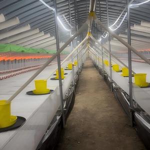 Grande Serra Completamente Chiusa in PVC a Doppio Strato <span class=keywords><strong>per</strong></span> l'Allevamento di Anatre da Carne - Product Image 6