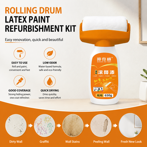 BANG KE WEI <b>Paint</b> <b>Roller</b> Refurbishment Kit Quick Wall Renovation Low Odor Fast Drying 650g Set for Home Office - Product Image 1
