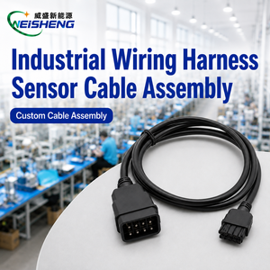 Klantspecifieke industriële bedradingssysteem kabelbundel besturingskast PLC sensor kabelassemblage OEM - Product Image 1