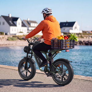Bicicleta eléctrica alemana Stock X80, versátil para carretera y múltiples terrenos, con llantas gruesas de 20 pulgadas, bicicleta eléctrica para ciclistas. - Product Image 3