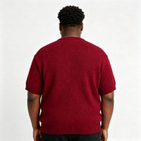 Pull en maille tricoté de qualité supérieure pour homme, col rond, manches courtes, broderie, pull en maille pour homme