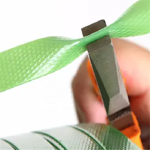 Hersteller liefern kosten günstige kunden spezifische grüne PET-Band für die Verpackung