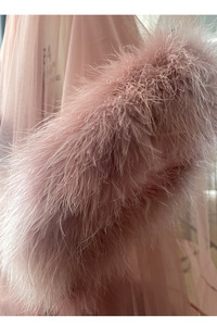 <span class=keywords><strong>Vestaglia</strong></span> Rosa Pallido con Piume, Abito <span class=keywords><strong>da</strong></span> Cerimonia Nuziale in Tulle Trasparente, Vestito <span class=keywords><strong>da</strong></span> Festa - Product Image 4