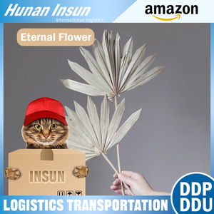 Top Bán Vĩnh Cửu Hoa Ddp/Ddu Cửa Đến Cửa Vận Tải Đường Biển Từ Trung Quốc Côn Minh Đến Pháp Đức Úc - Product Image 3