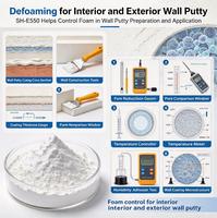 Défoamer en poudre haute performance SH-E550 pour systèmes cimentaires, mortier, béton, auto-nivelant et matériaux de construction en gypse