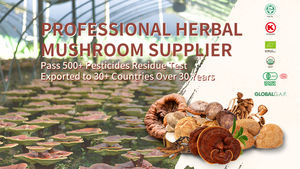 Cordyceps sinensis תמצית אבקת עם אישור gmp - Product Image 5