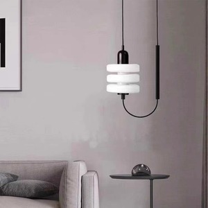 Pendant <b>Light</b> Round <b>Single</b> Head Incandescent Lamp <b>Switch</b> Control Home Lighting D180 H300 Adjustable Cable 2M - Product Image 3